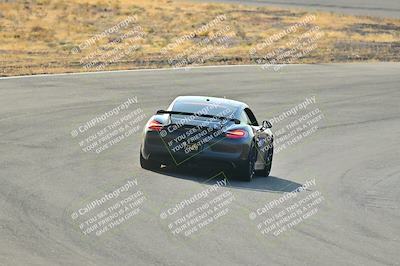 media/Feb-01-2025-Turn8 Trackdays (Sat) [[5681b0f63a]]/Inter 2/Session 1 (Turns 4b and 5)/